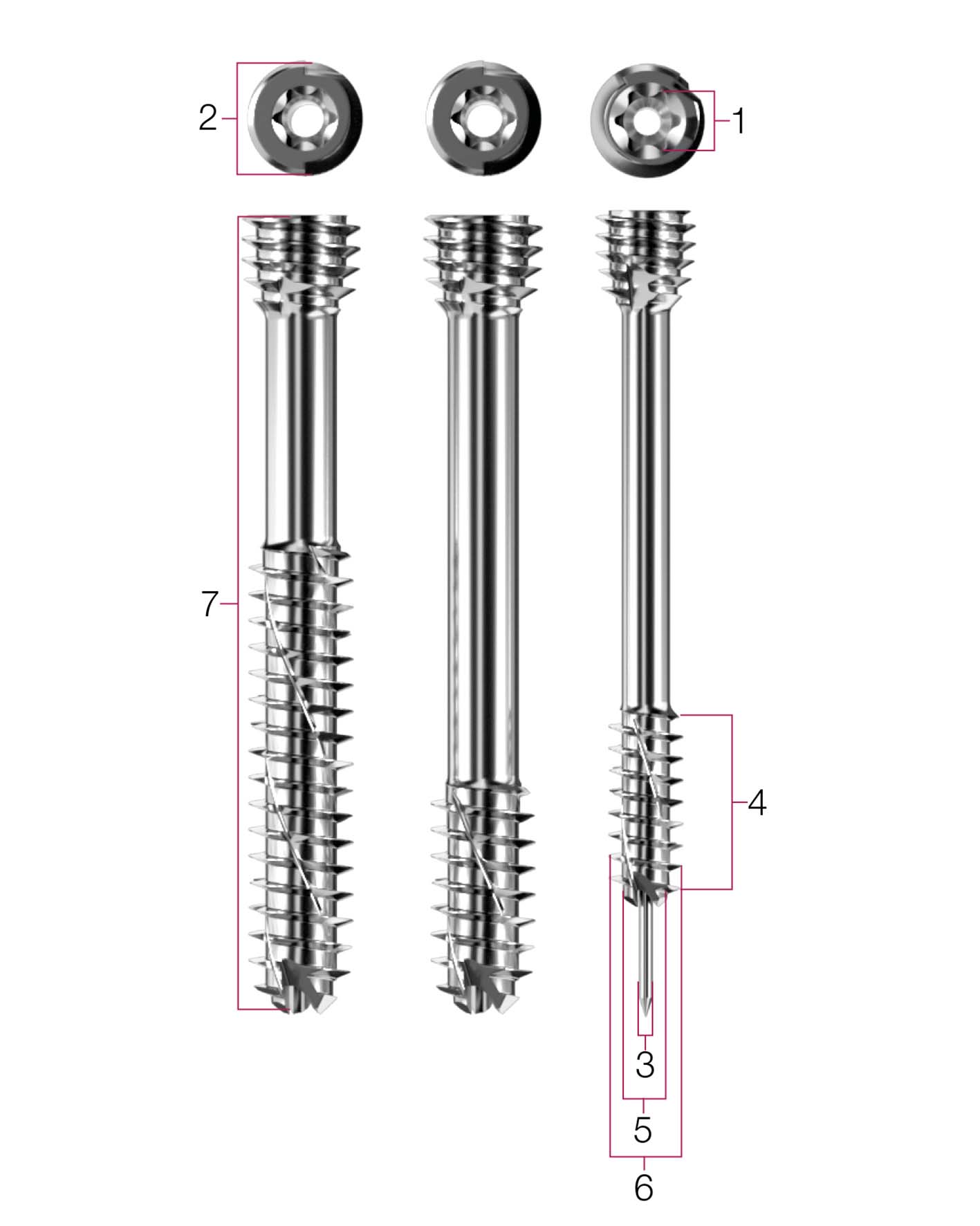 Screw-Measurements-LARGE-2