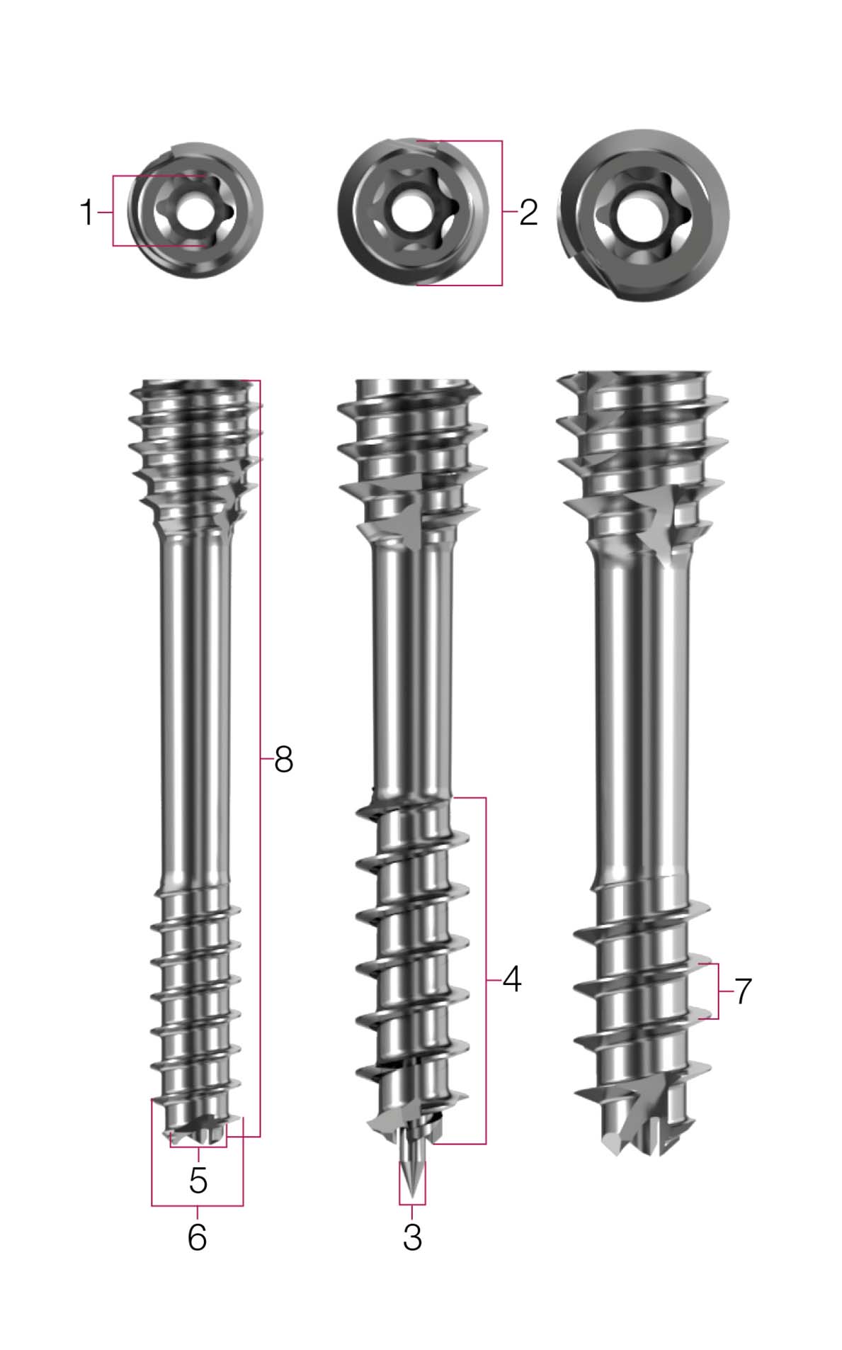 Screw-Measurements-SMALL-1