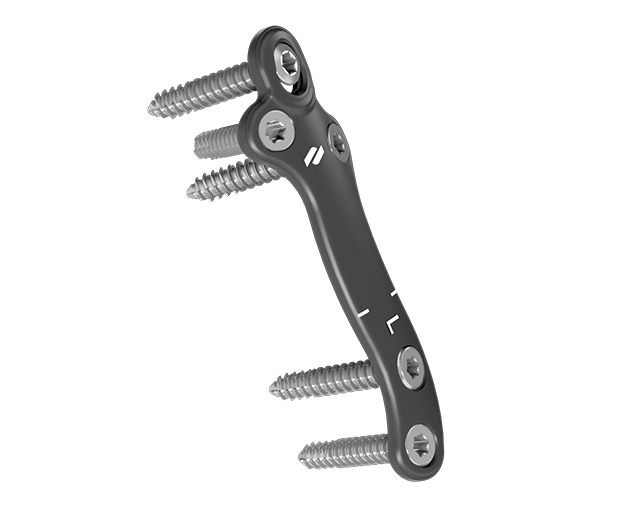 lapidus-plates-presslock